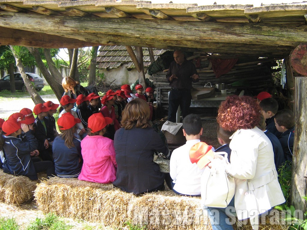 fattoria didattica masseria sparano