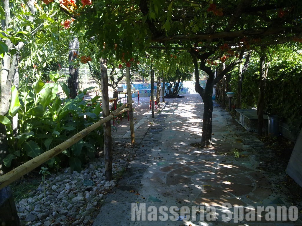 il pergolato della masseria sparano