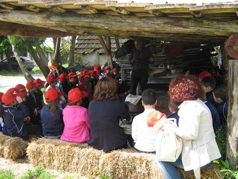 masseria sparano didattica