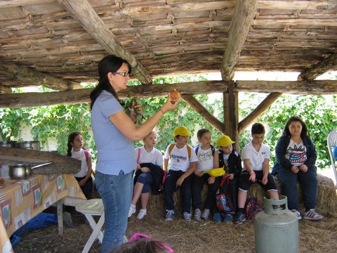 fattoria didattica masseria sparano