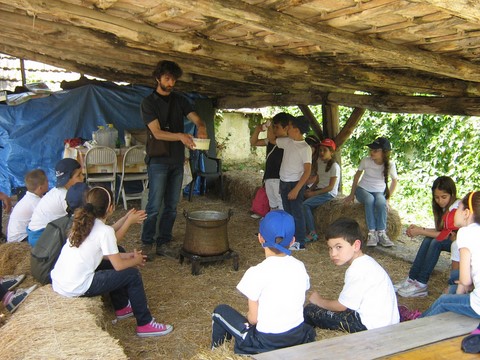 visite didattiche il formaggio