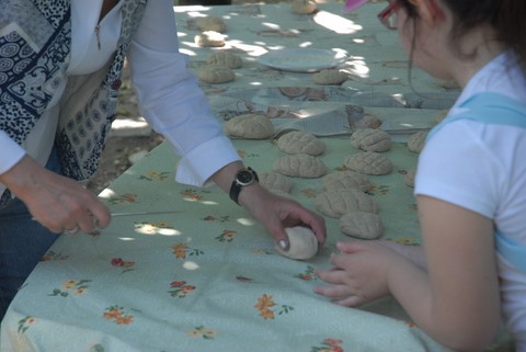 il pane fattoria didattica masseria sparano