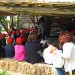 fattoria didattica masseria sparano