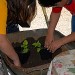 fattoria didattica la piantumazione