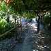 il pergolato della masseria sparano